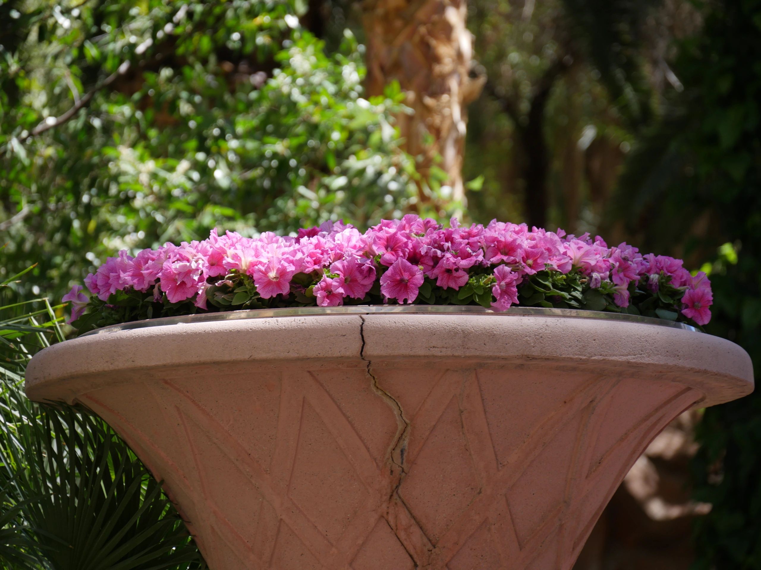 Pink memorial flowers arranged in a garden setting