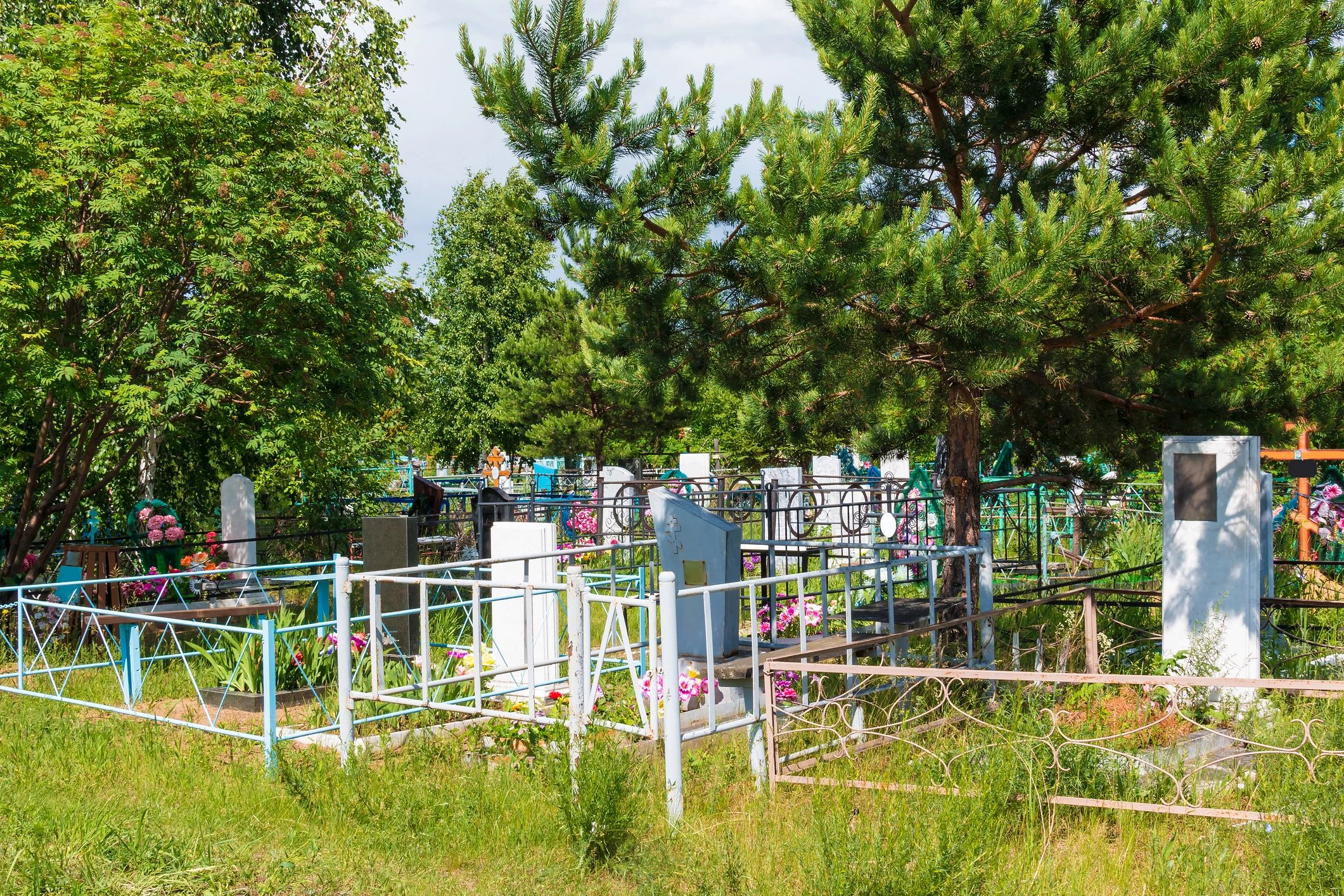 Peaceful cemetery setting with trees and memorial markers