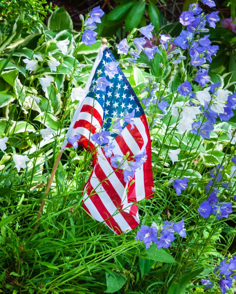 Flag Among The Flowers